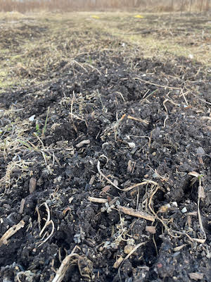 image of frost heaving